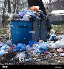 Same-Day Junk Removal Services in Black Hammock, FL